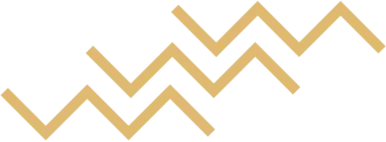 Zig Zag Icon